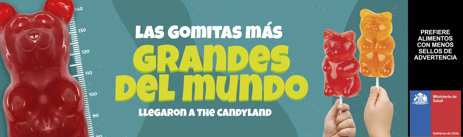 bannerweb-gomitasbig-minorista-desktop