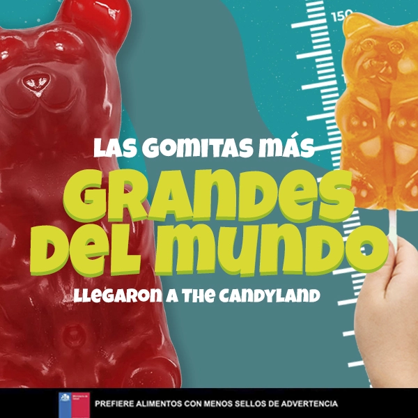 bannerweb-gomitasbig-minorista-mobile-1